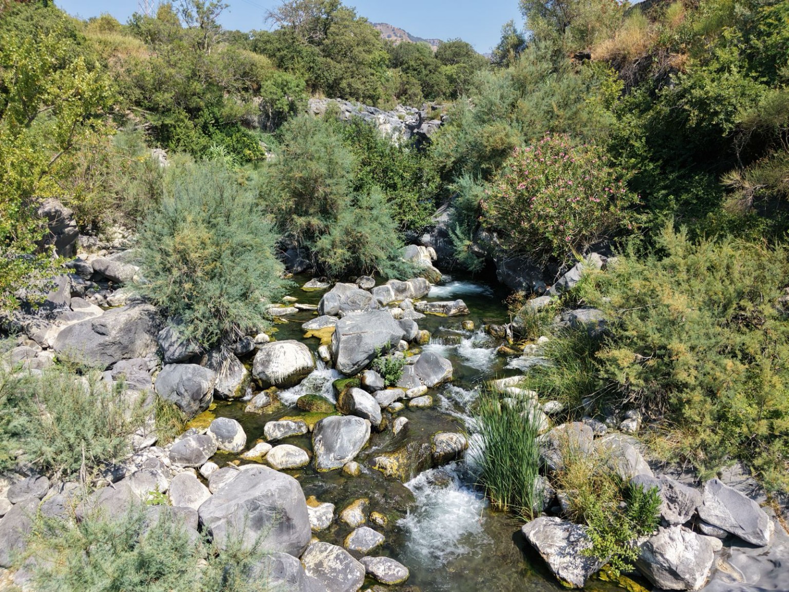 Il fiume e le sue meraviglie · 17